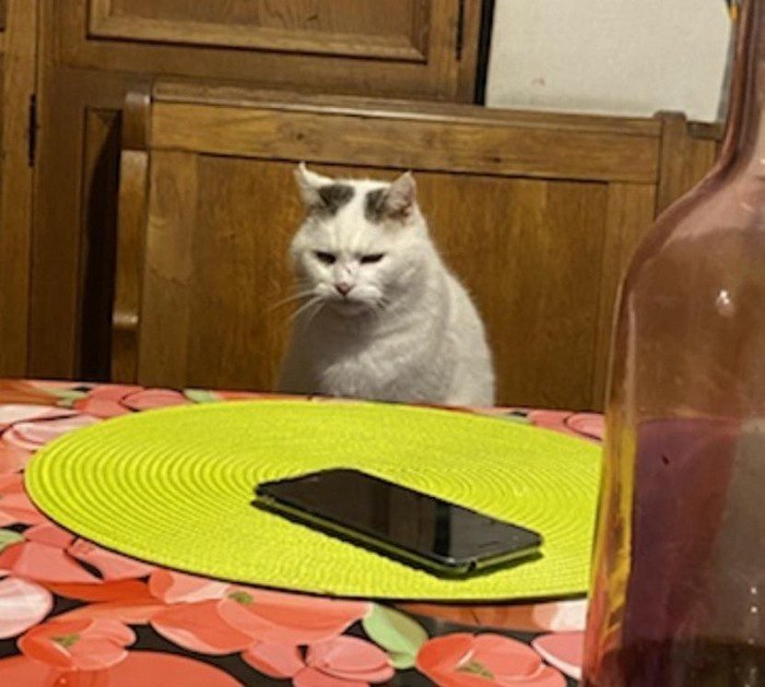 1658433623 120 15 Fotos de momentos que acabaram sendo mais engracados do