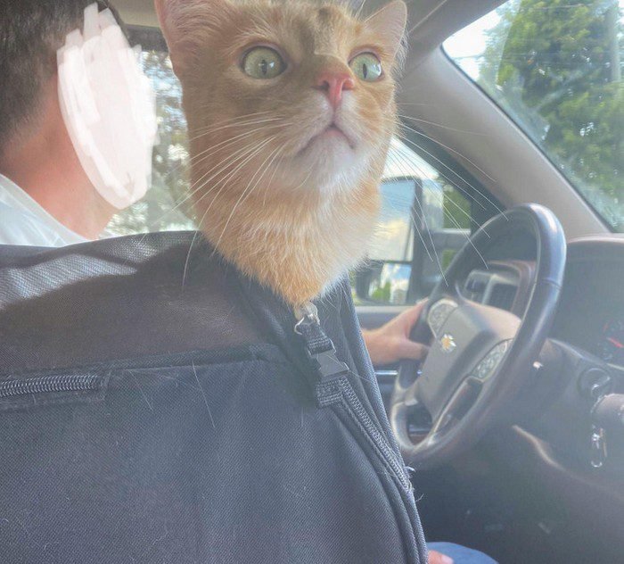 1658433627 964 15 Fotos de momentos que acabaram sendo mais engracados do