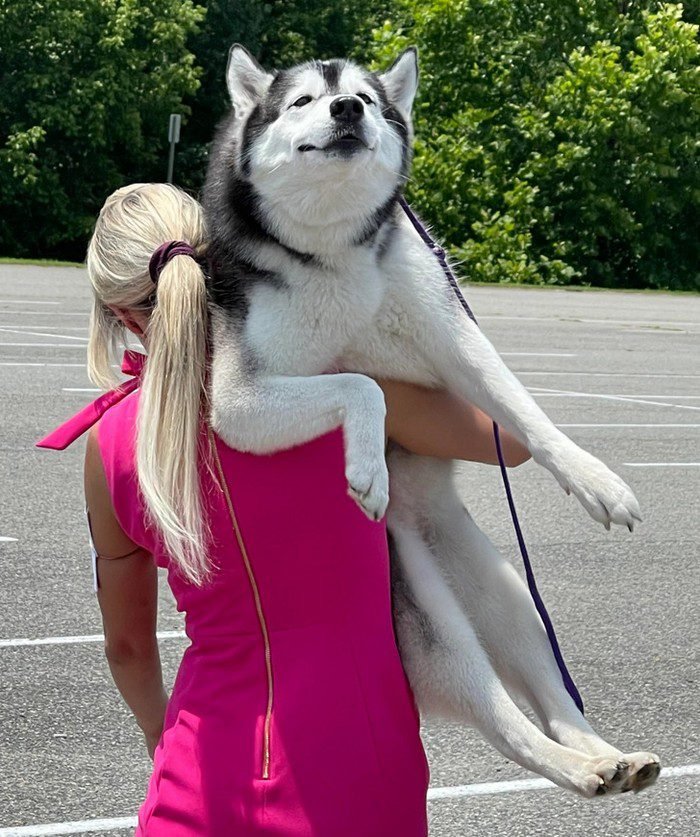 1658433628 25 15 Fotos de momentos que acabaram sendo mais engracados do