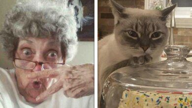 15 fotos de momentos que foram mais engraçados do que o esperado