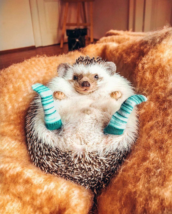 1658433629 651 15 Fotos de momentos que acabaram sendo mais engracados do