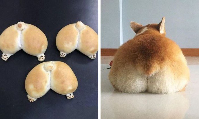 1648866971 726 18 Coisas peculiares encontradas no Japao que mostram por que