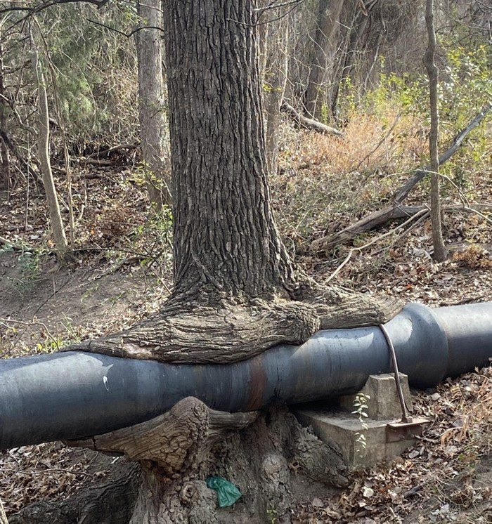 1648856615 669 18 Vezes em que as pessoas se depararam com coisas