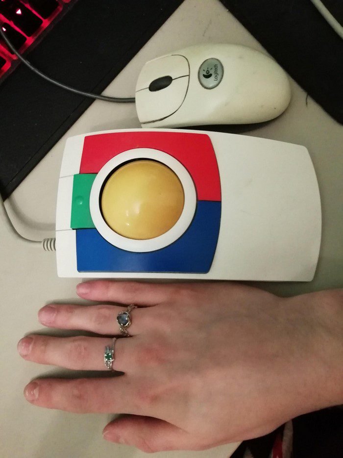 1648856618 27 18 Vezes em que as pessoas se depararam com coisas