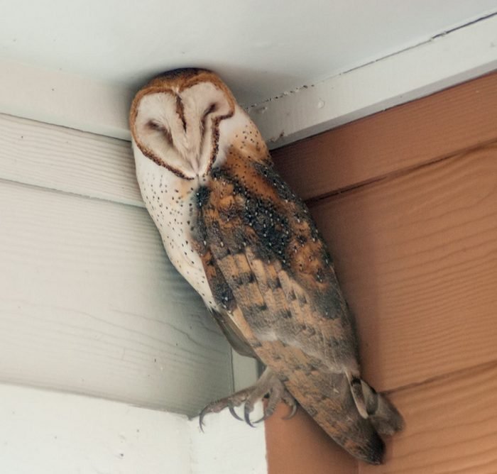 1648856620 183 18 Vezes em que as pessoas se depararam com coisas