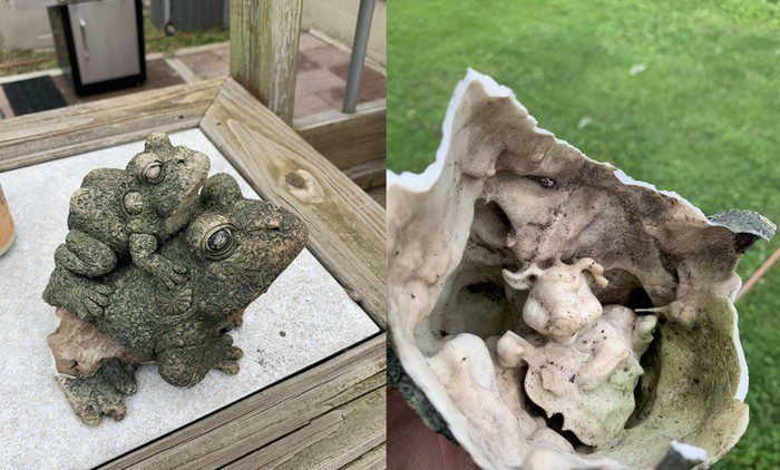 1648856623 364 18 Vezes em que as pessoas se depararam com coisas