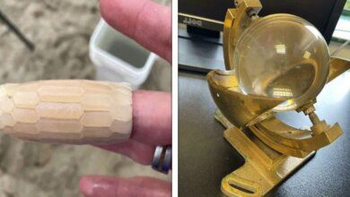 1751507858 19 vezes que as pessoas se depararam com objetos curiosos 19 Vezes que as pessoas se depararam com objetos curiosos e pediram ajuda na internet para saber o que eram