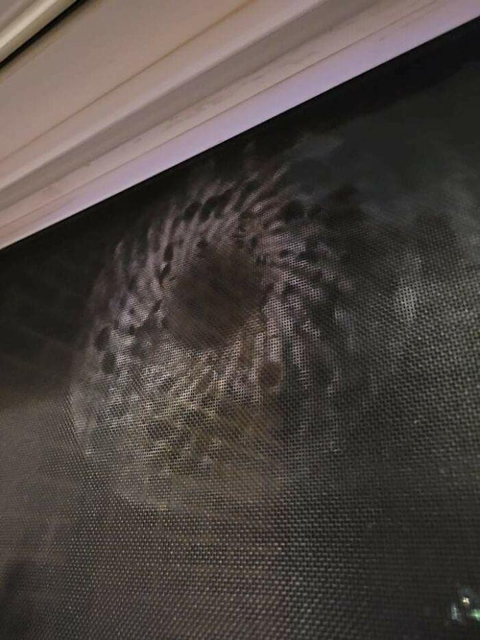 1640141953 214 19 Vezes que as pessoas se depararam com objetos curiosos