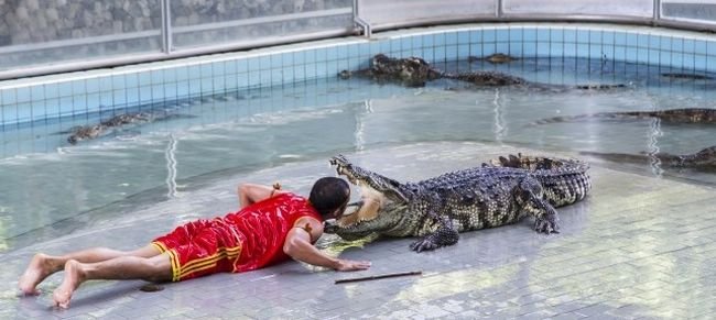 1651965550 16 10 Das profissoes mais perigosas ao redor do mundo