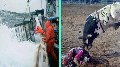 10 dos empregos mais perigosos ao redor do mundo