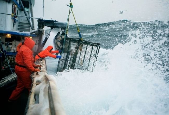 1651965550 493 10 Das profissoes mais perigosas ao redor do mundo