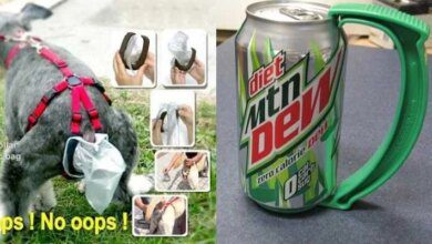 18 Invenções mais inúteis de todos os tempos