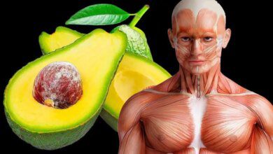 15 ótimos motivos para comer abacate diariamente