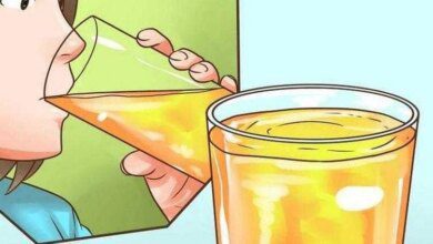 Perca 7 kgs e desintoxique o fígado com a dieta da maçã