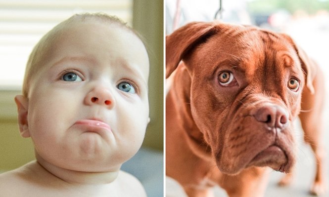 Foto: © Donnie Ray Jones / © www.pexels.com 