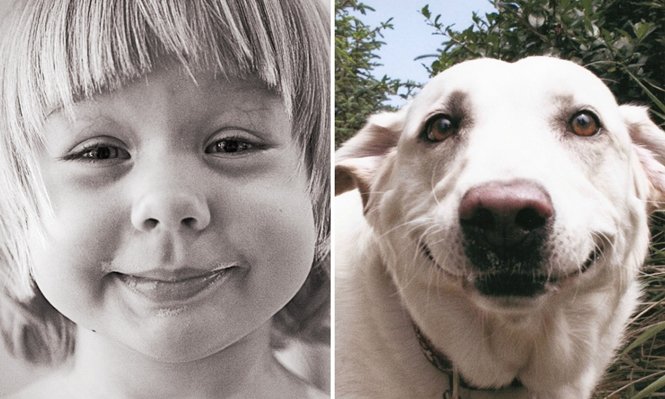 1751508497 999 15 fotos que comprovam que os animais podem sentir emocoes.j Foto: © Tatiana Dudina / © imgur.com