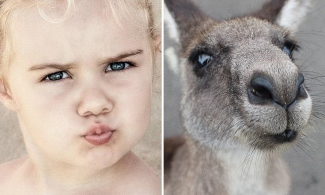 1751508500 803 15 fotos que comprovam que os animais podem sentir emocoes.j Foto: © dpv_editor / © Iván Lojko