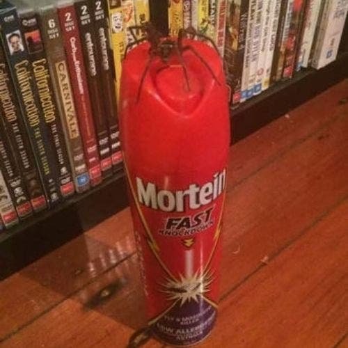 1610791871 937 Dia ruim Essas imagens provam que tem gente pior do