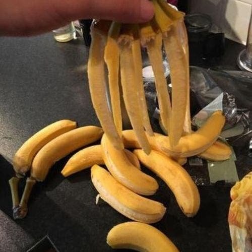 1610791872 763 Dia ruim Essas imagens provam que tem gente pior do