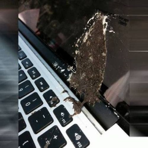 1610791873 834 Dia ruim Essas imagens provam que tem gente pior do