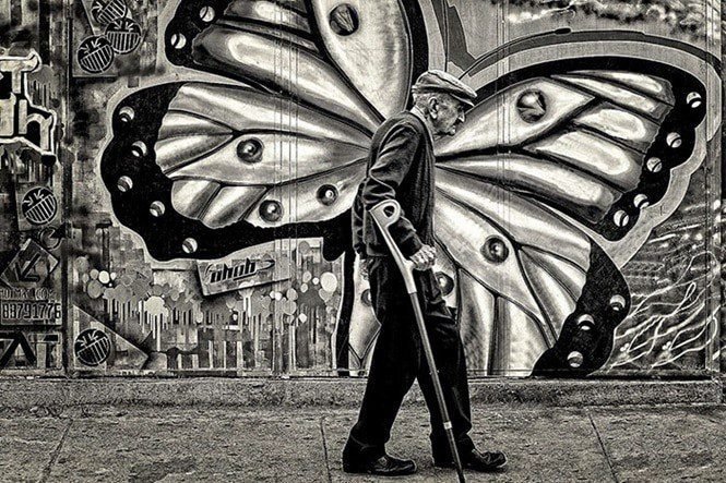 25 Fotos incríveis tiradas no melhor momento