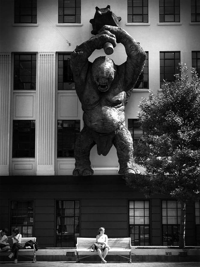 25 Fotos incríveis tiradas no melhor momento