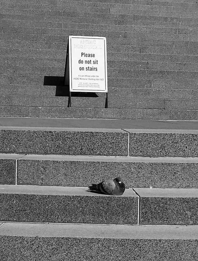 25 Fotos incríveis tiradas no melhor momento