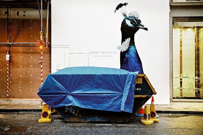 25 Fotos incríveis tiradas no melhor momento