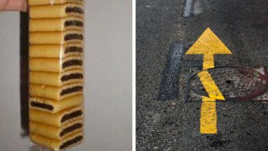 19 Imagens proibidas para quem tem TOC