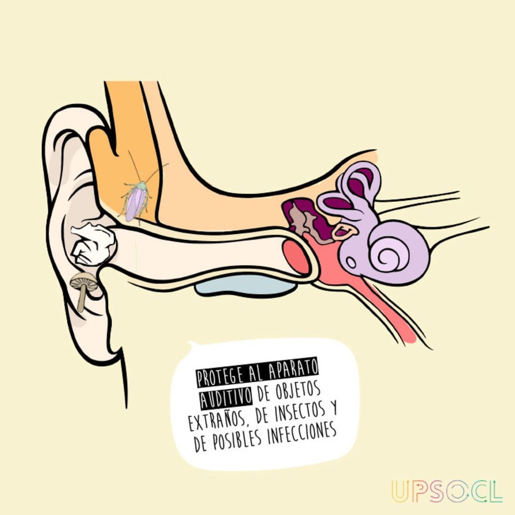 1751509078 108 5 motivos porque nao devemos tirar a cera do ouvido large ouvidos3
