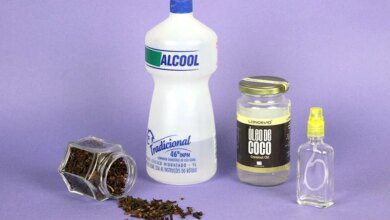 como fazer um repelente caseiro