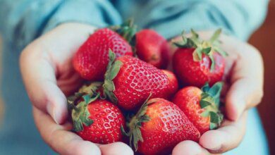 1751509535 10 beneficios do morango para saude 10 Benefícios do Morango para Saúde