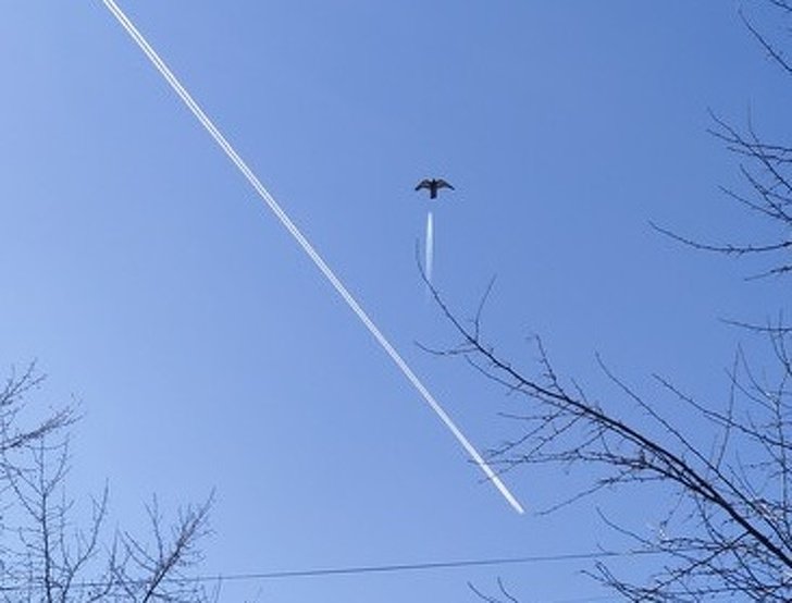 1557326406 128 20 provas de que o angulo e a perspectiva da