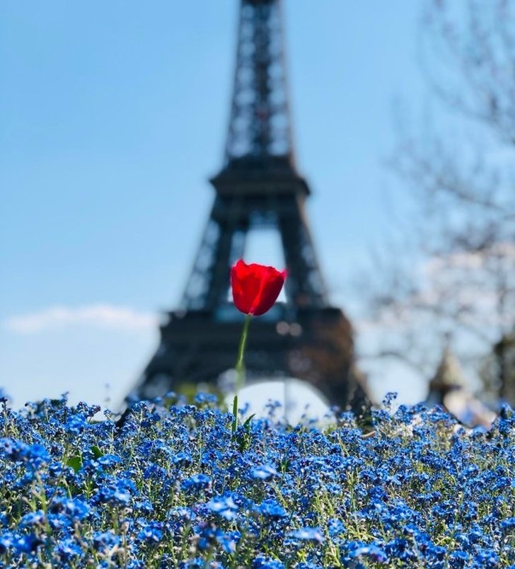 1557326407 325 20 provas de que o angulo e a perspectiva da