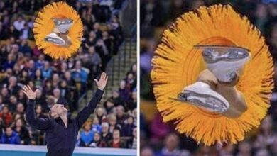 19 provas de que o ângulo e a perspectiva da foto são o mais importante