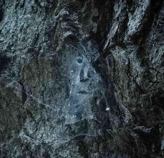 1751510594 178 22 vezes em que os angulos das fotos fizeram pegadinhas 1640226661 172 22 Vezes em que os angulos das fotos fizeram pegadinhas