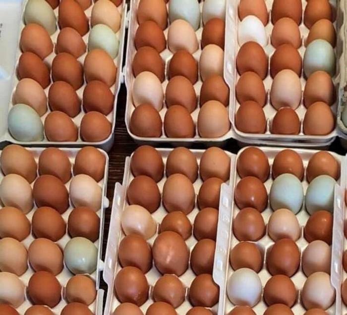 1751510598 999 22 vezes em que os angulos das fotos fizeram pegadinhas 1640226665 999 22 Vezes em que os angulos das fotos fizeram pegadinhas