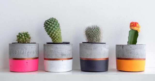 1623846435 257 Como fazer vaso de cimento em casa