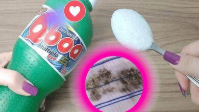 Receita caseira para remover mofo nos panos de prato e nas roupas