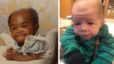 14 bebês que parecem ter nascido próximos da aposentadoria