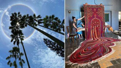 15 fotos fenomenais que vão fazer você esfregar os olhos. A vida não precisa de filtros