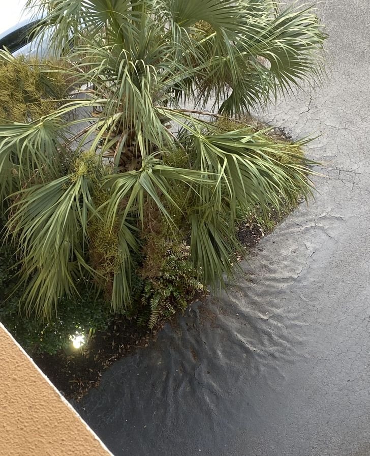 1751512350 938 fotos fascinantes que provam que a mae natureza ainda pode 1649124549 564 Fotos fascinantes que provam que a Mae Natureza ainda pode