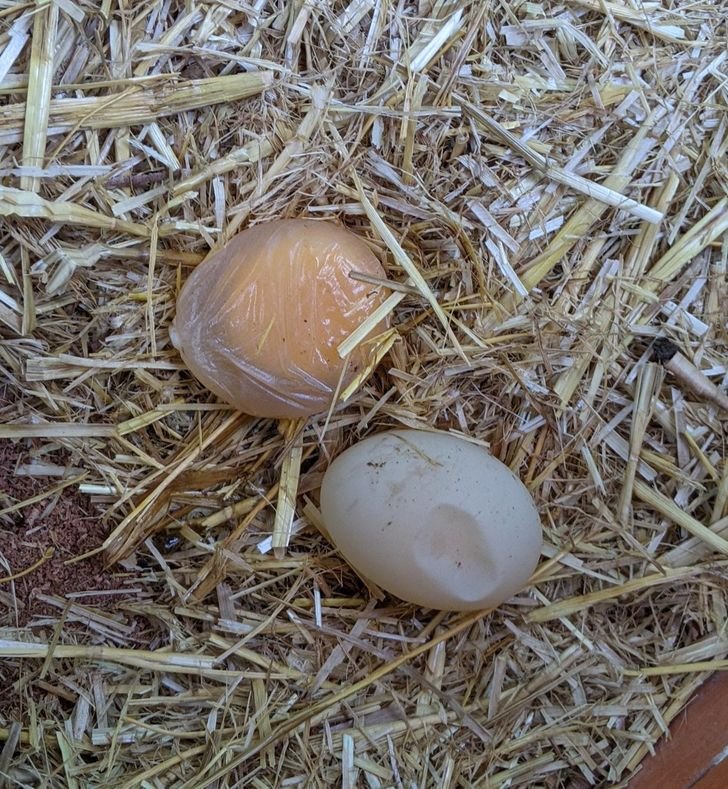 1751512351 582 fotos fascinantes que provam que a mae natureza ainda pode 1649124551 536 Fotos fascinantes que provam que a Mae Natureza ainda pode