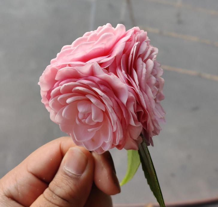 1751512356 759 fotos fascinantes que provam que a mae natureza ainda pode 1649124557 926 Fotos fascinantes que provam que a Mae Natureza ainda pode