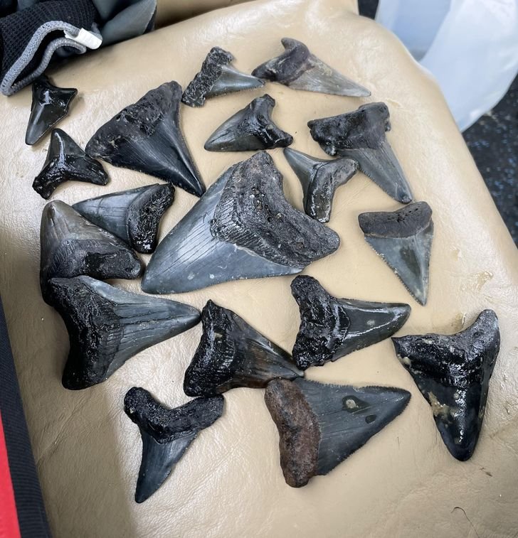 1751512362 171 fotos fascinantes que provam que a mae natureza ainda pode 1649124565 148 Fotos fascinantes que provam que a Mae Natureza ainda pode