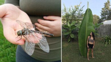Fotos fascinantes que provam que a Mãe Natureza ainda pode nos impressionar