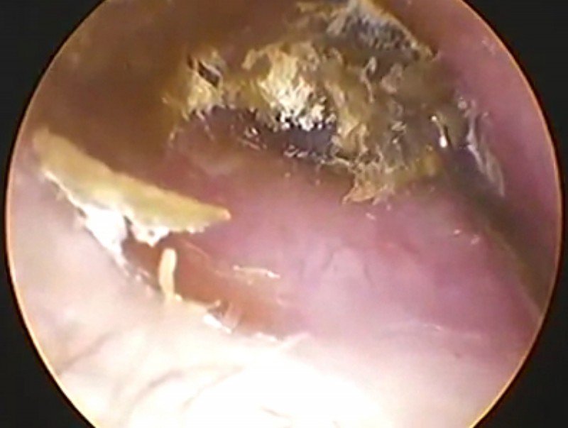 de51628f053eca292968fd8aba599c18