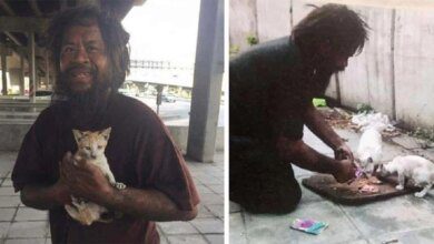 Morador de rua vende limões para alimentar seus melhores amigos