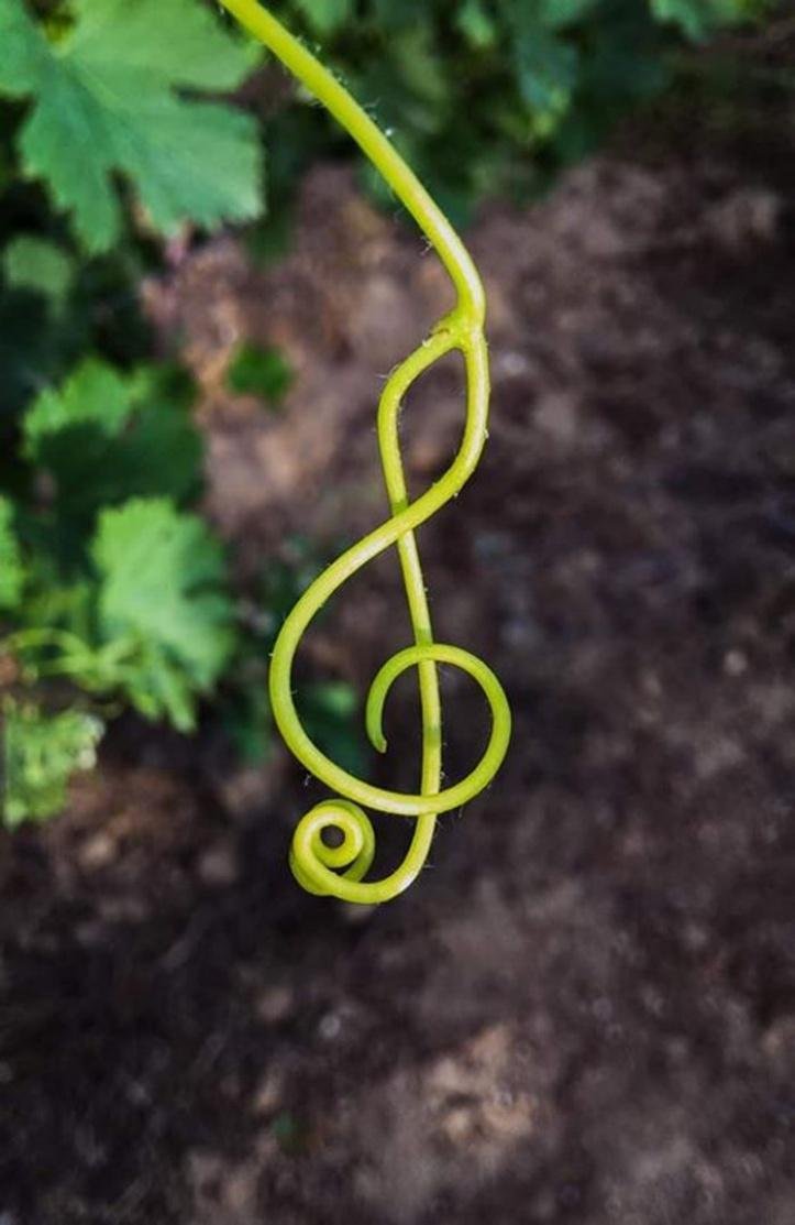 1616078510 149 18 objetos que mostraram uma outra face totalmente diferente do