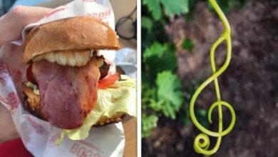 18 objetos que mostraram uma outra face totalmente diferente do real